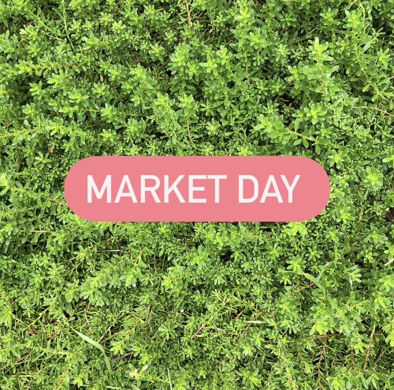 Market Day - Various Sizes