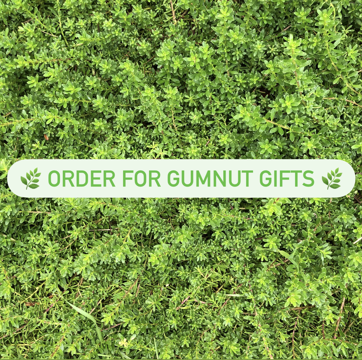 Order for a Gumnut Gifts