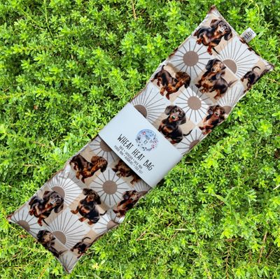 Sunny Dachshunds - Wheat Heat Bag - XL Size