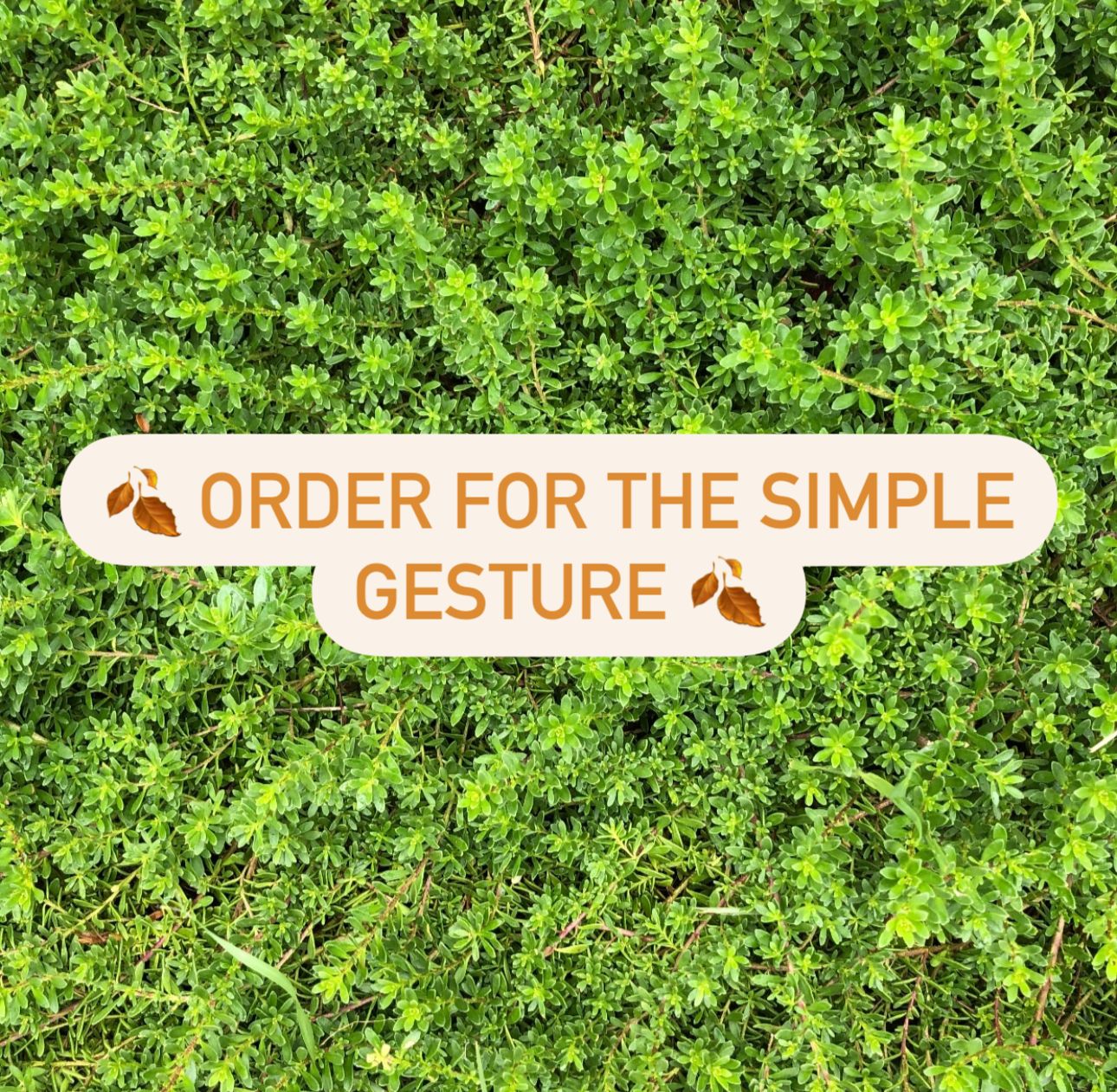 Order for The Simple Gesture