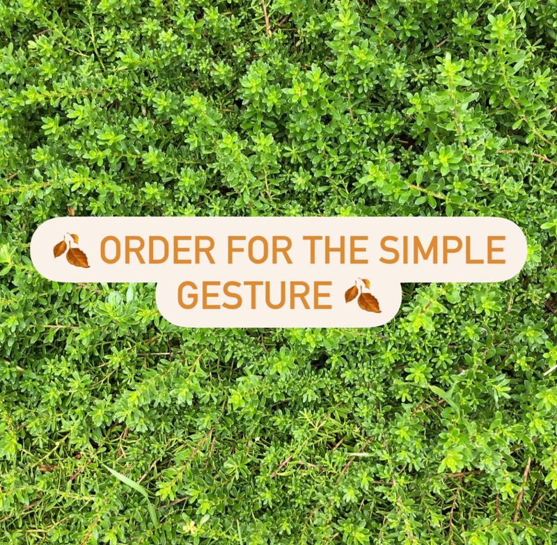 Order for The Simple Gesture