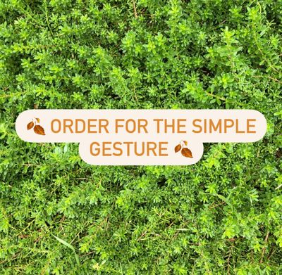 Order for The Simple Gesture