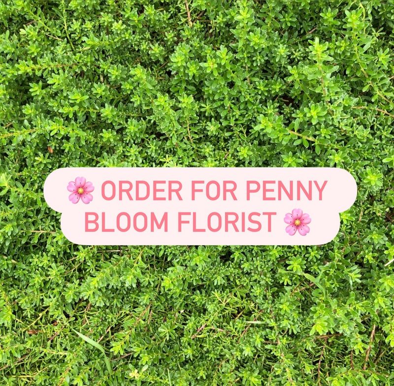 Order for Penny Bloom Florist