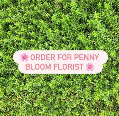 Order for Penny Bloom Florist