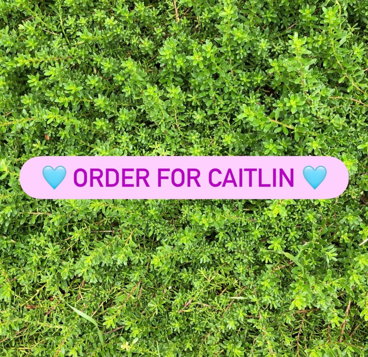 Order for Caitlin