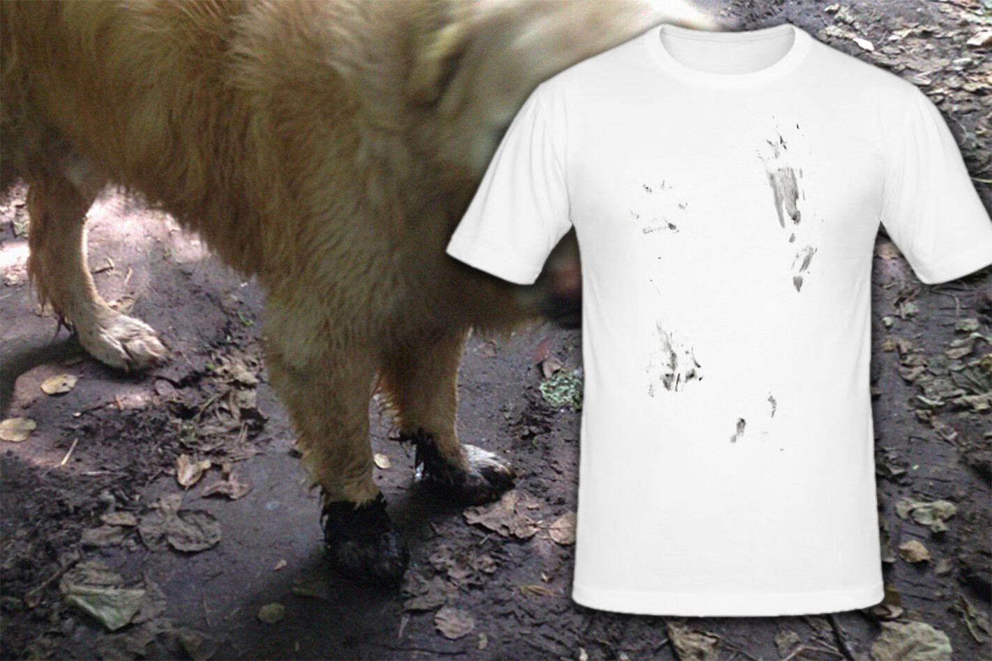 Excited Mud Dog Shirt