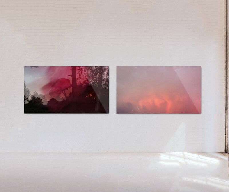 INFLORESCENCE ACRYLIC OBJECTS (Edition of 50)