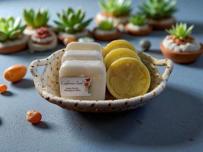 Botanical Infused Hair Conditioning Bars (Set of 3)