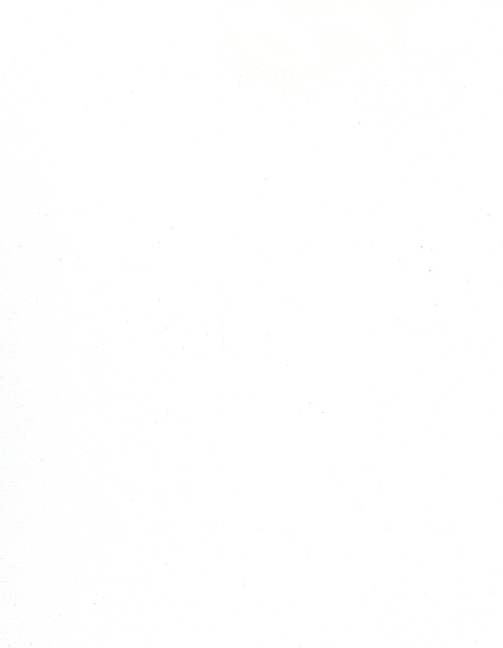 Roücke TFL- Rainier White