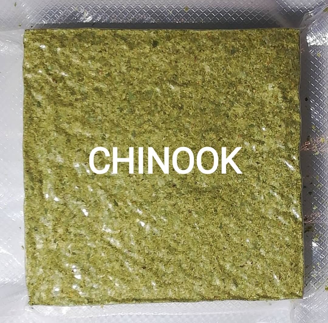 Luppolo CHINOOK TRENTINO 250g - CROP 2025
