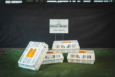Poultry Crates-SKU#PC812