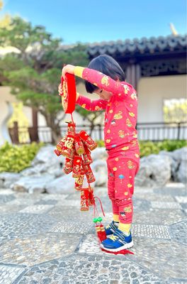 Lunar New Year Dreams Lucky Bamboo 2 Piece Toddler Pajamas