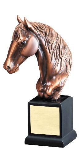 Horse Head