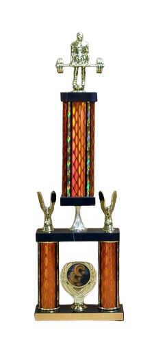 2308-6N PREMIUM TROPHY