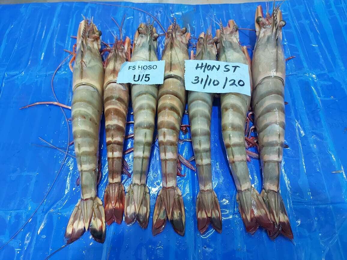 Black tiger shrimp