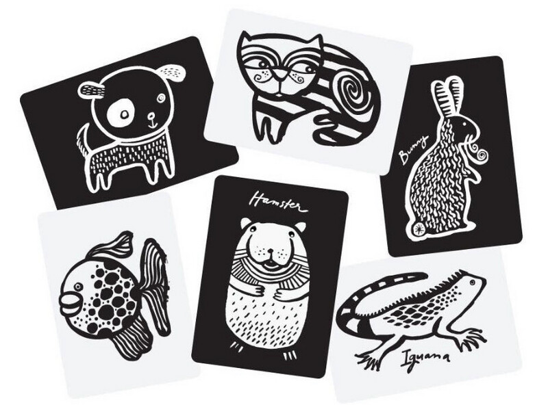 Pet Art Cards