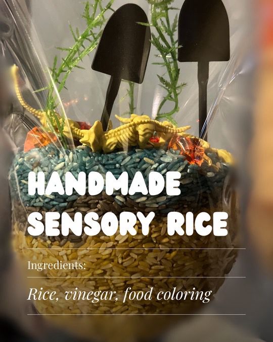 Sensory Rice Kit