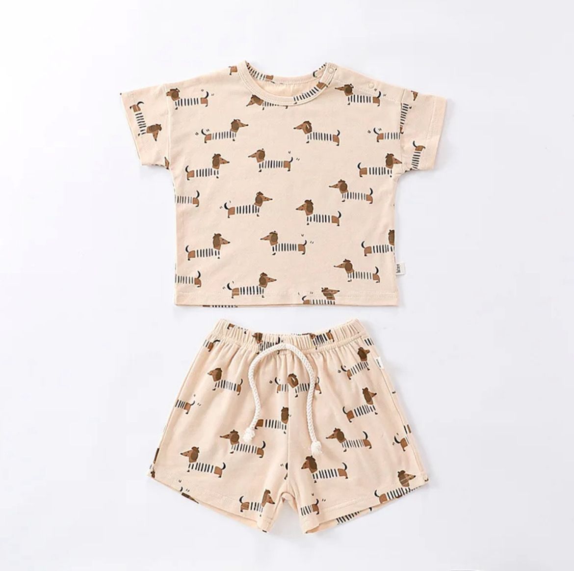 2 Piece Dog Set