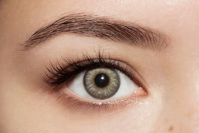 Bloom Cream Gray / 168 Bloom Cream Gray / 168