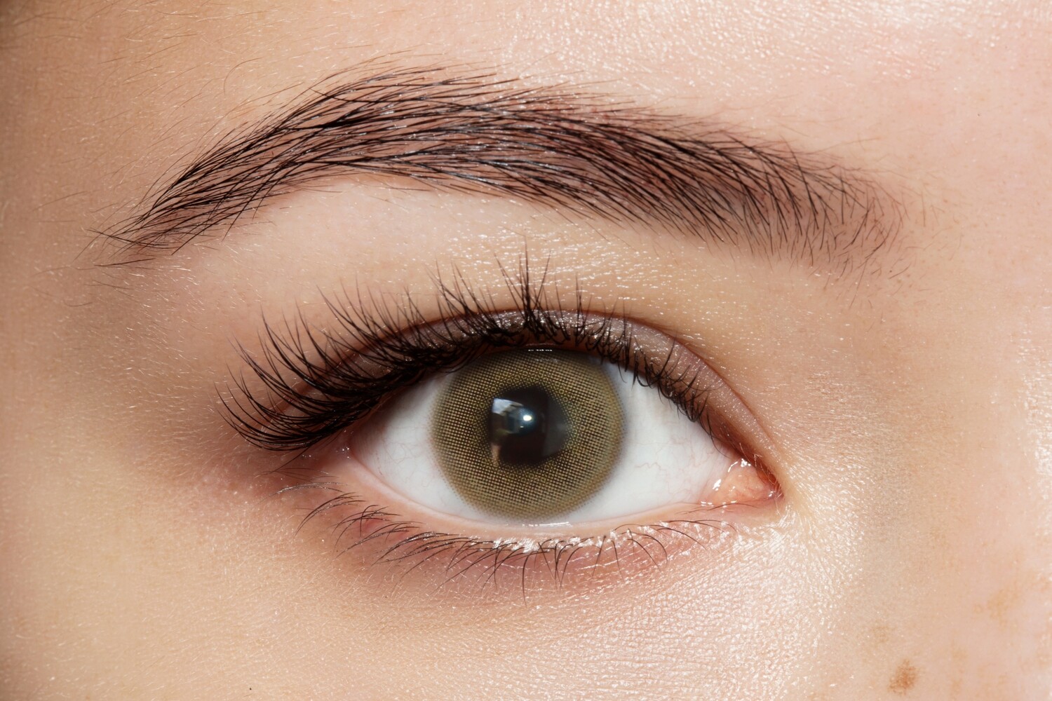 Qián Light Brown/ 174