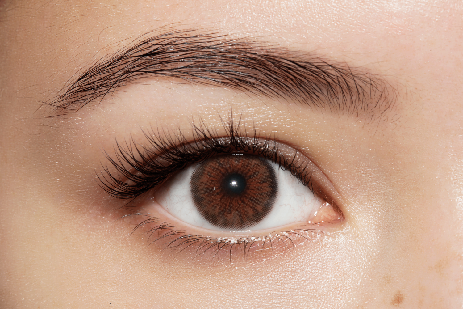 Diamond Hazel/ 329