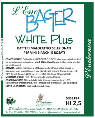 L'ENOBACTER WHITE PLUS 2,5 Hl