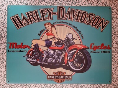 Plaque Harley Davidson