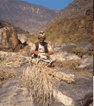 Handmade Non-Wood Paper