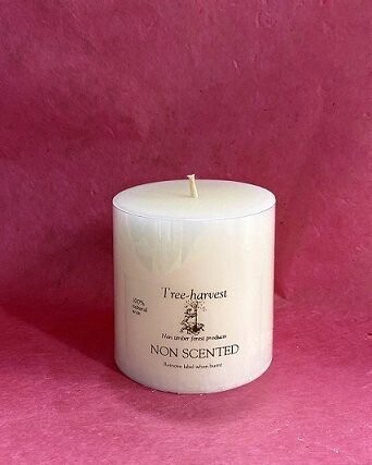 3" Plant Wax Pillar Candle - Unscented