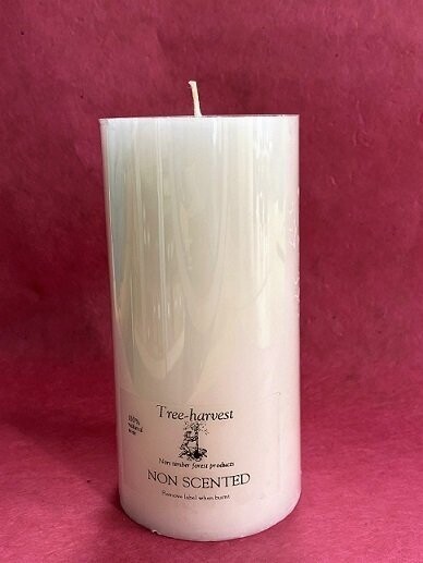 6" Plant Wax Pillar Candle - Unscented