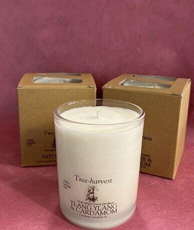 Pure Plant Wax Glass Pot Candle - Tea Tree & Geranium