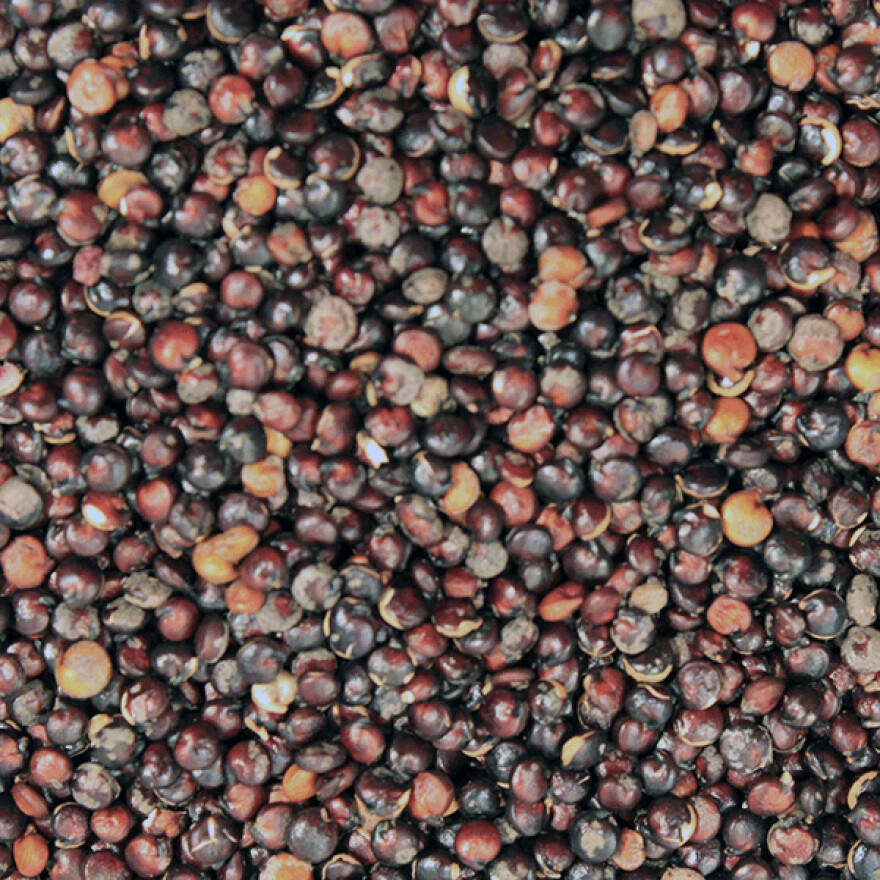 Quinoa Black Organic, from