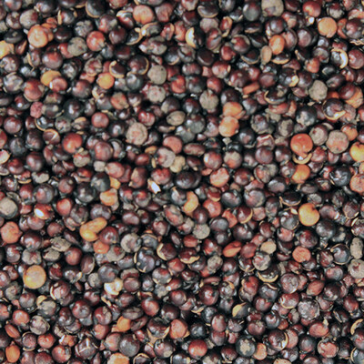 Quinoa Black Organic, from
