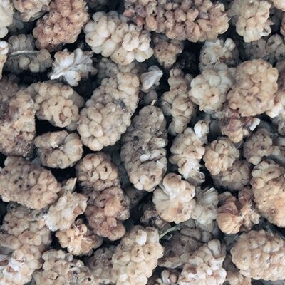 Mulberries White Organic, from