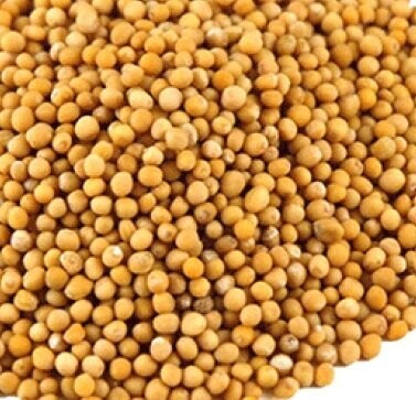 Mustard Seeds Yellow Organic, from