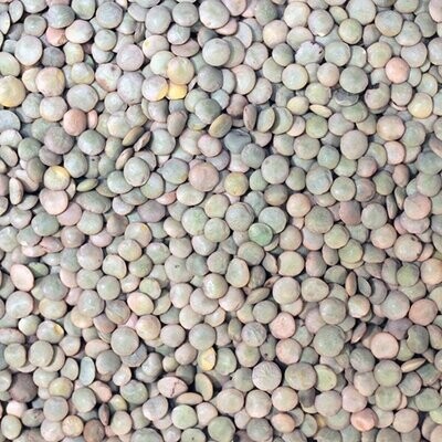 Lentils Brown Organic, from