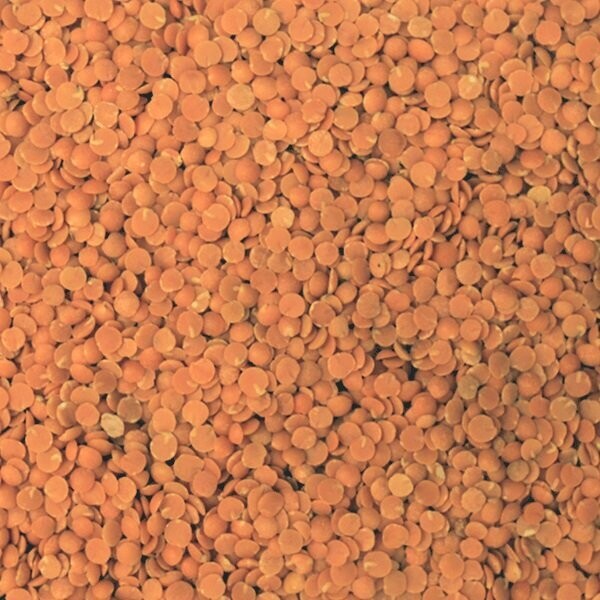 Lentils Red Split Organic, from