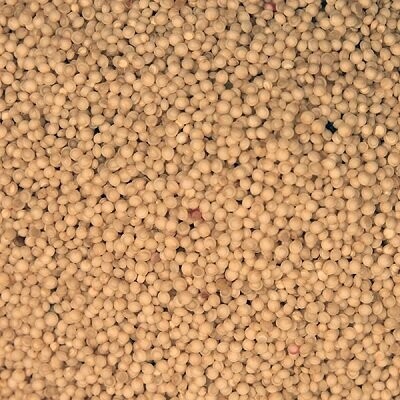 Amaranth Organic, from