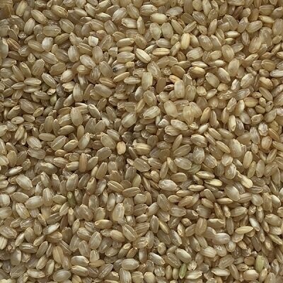 Rice Brown Short-Grain Organic, from