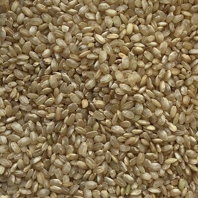Rice Brown Long-Grain Organic, from