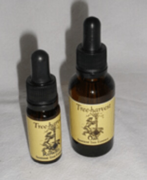 Willow Tree Essence, from