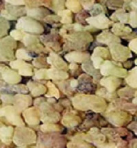 Ethiopian Frankincense, from