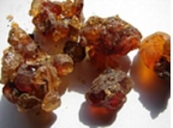 Almond Tree Resin, from