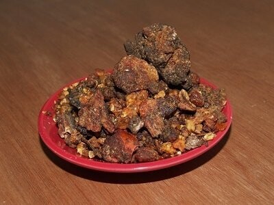Opoponax - Sweet Myrrh, from