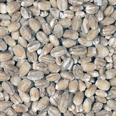 Pearl Barley Organic, from