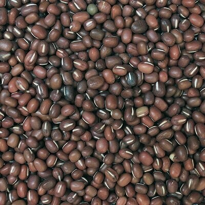 Sprouting Seeds: Aduki Beans Organic, from