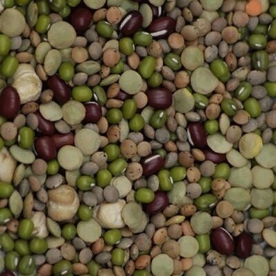 Sprouting Seeds: Mixed Beans Organic, from