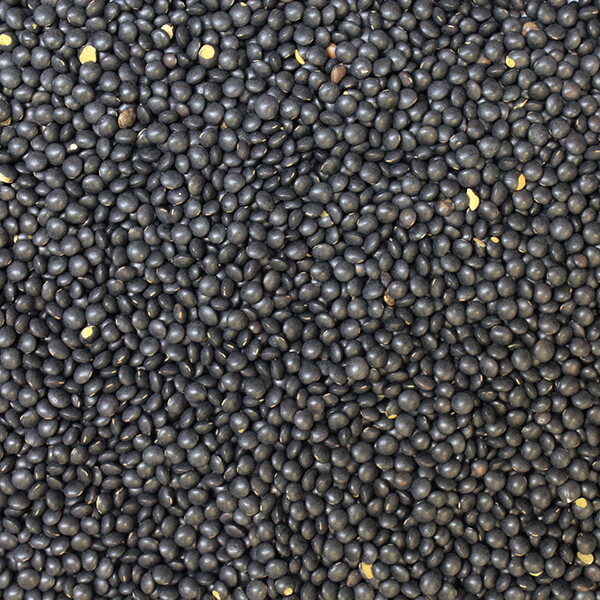 Lentils Black Beluga Organic, from