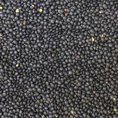 Lentils Black Beluga Organic, from