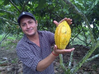 Cacao Products